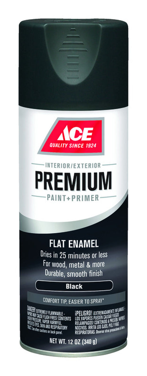 Spray Ace Flat Black Ace 17003 